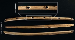 Flauto rinvenuto a Fels (Hohle Fels), nella Germania sud occidentale, datato tra 35000 e 40000 anni fa
