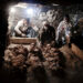 archeologi durante il recupero delle mummie (Foto: AFP)