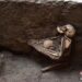 Lo scheletro della madre che abbraccia il figlio. Le immagini rese note la scorsa settimana hanno commosso la Cina